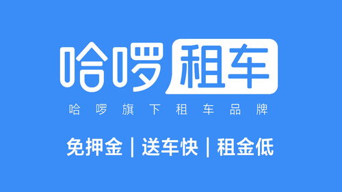 暑假租車出行受熱捧 哈啰租車多城上線租賃服務